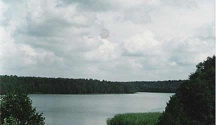 Widok