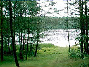 Widok